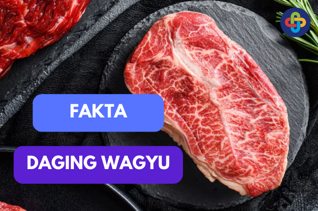 Mengungkap Keunikan Daging Wagyu: Fakta yang Perlu Kamu Ketahui